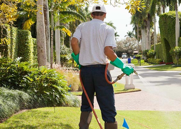About Everson WA Pest Control